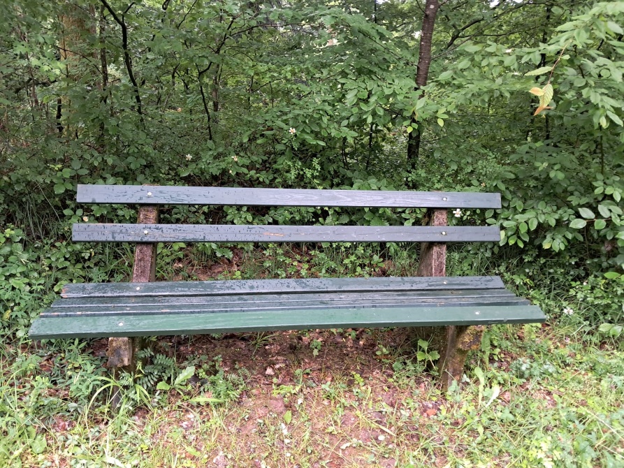 IMG 3165